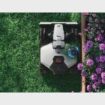 Robot Cortacésped LUBA Mini 2 AWD 1000 – IA triple cámara + NetRTK, - Imagen 2